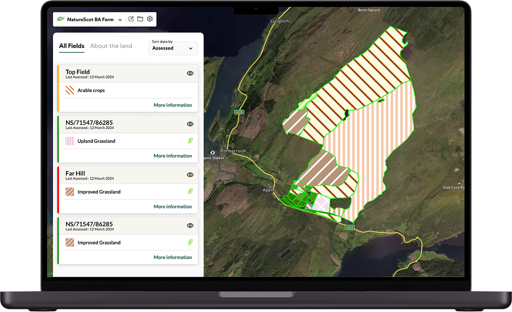 Image of the Website